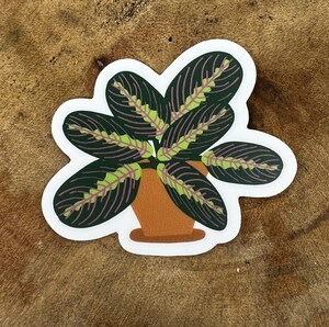 Prayer Plant Sticker